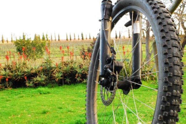 Accommodation & cycling in Hermanus